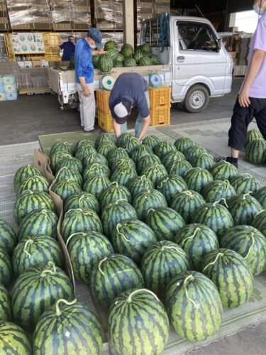 【ブログ】すいかの名産地♪