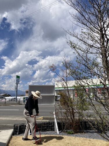 【ブログ】芝生 春のお手入れ